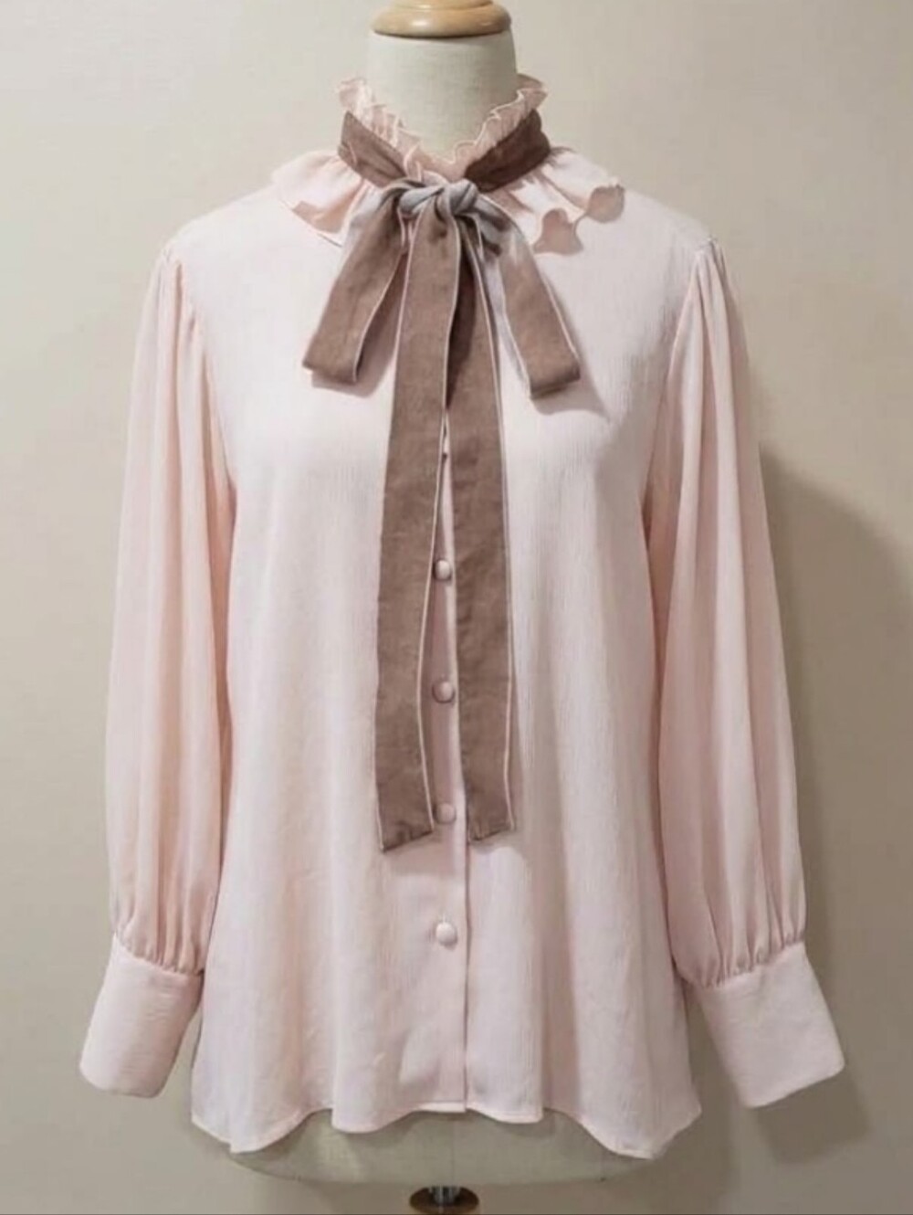 Dalia Vintage Romantic Sheer ruffled high-stand collar Button-Down Shirt
